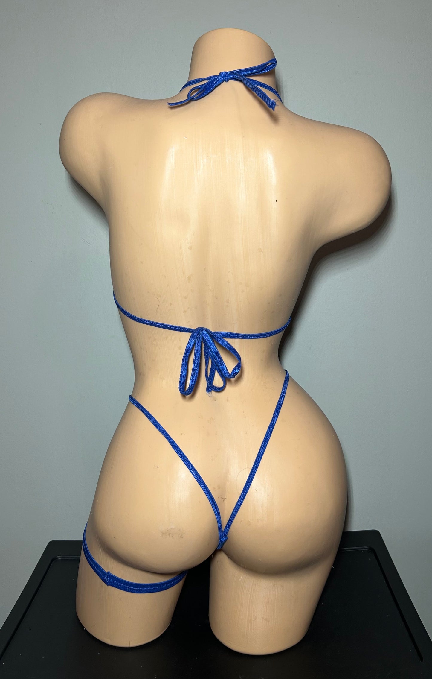 Royal Blue Mesh Top Two Piece w/Garter